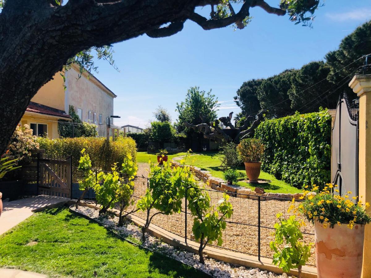 Douceur Du Sud, Entre Mer Et Campagne Hyères Exterior foto
